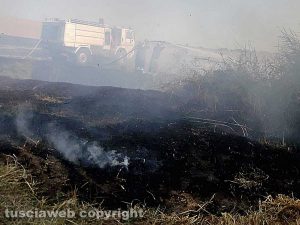 Tarquinia - Vasto incendio in località Cavalline - Protezione civile in azione