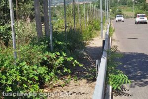 Viterbo - Il passaggio pedonale di Belcolle