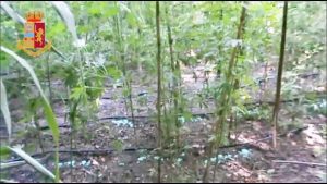 Operazione Giardini Segreti