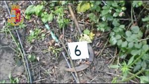 Operazione Giardini Segreti