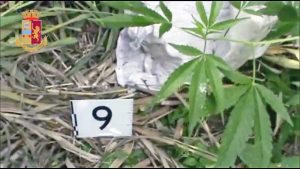 Operazione antidroga Giardini Segreti