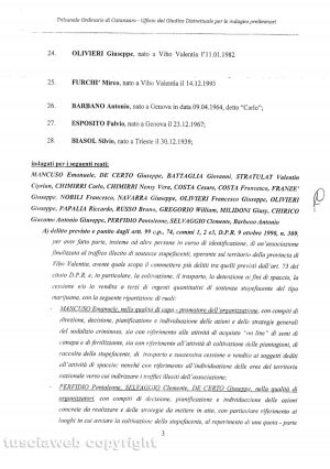 Operazione antidroga Giardini Segreti - L'ordinanza del gip di Catanzaro