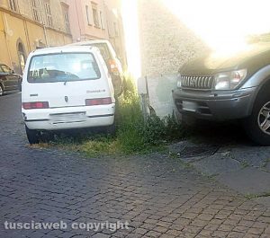 Viterbo - Erbacce in via della Pettinara