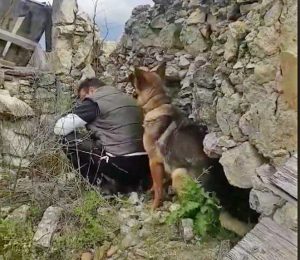 Il cane eroe dei terremotati Kaos