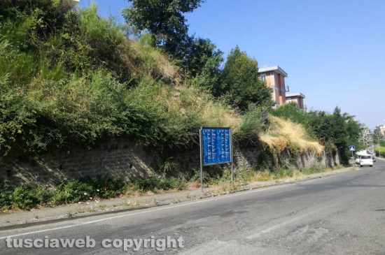 Viterbo - Erbacce in via della Pila