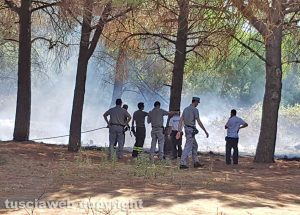 Tarquinia - L'incendio nella pineta di San Giorgio