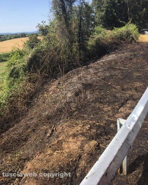 Lubriano - L'incendio in località Castiglione