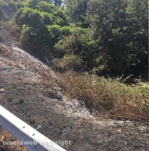 Lubriano - L'incendio in località Castiglione