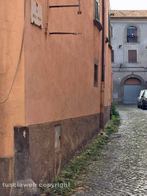 Viterbo - Erbacce in via delle Mura
