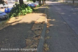 Viterbo - Incuria in via Caduti IX Stormo
