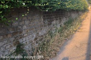 Viterbo - Incuria a via della Pila