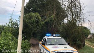 Maltempo - Albero caduto a Orte - Al lavoro la protezione civile