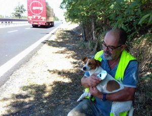 Il cane salvato dai volontari Aeopc