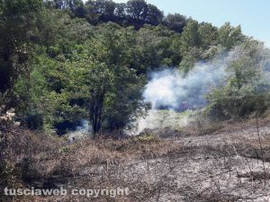 Celleno - Incendio di sterpaglie