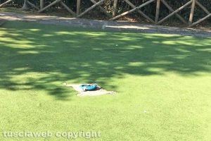 Capranica - Giochi rotti al parco Nicolini