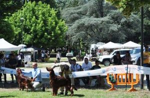 Viterbo - Pratogiardino "Lucio Battisti"