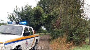 Maltempo - Albero caduto a Orte - Al lavoro la protezione civile
