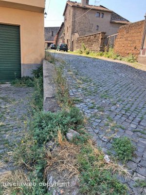 Viterbo - Via Sant'Andrea 