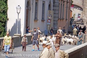 Viterbo - Le riprese del telefilm Catch-22