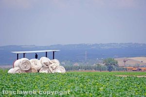 Viterbo - La vita del bracciante agricolo