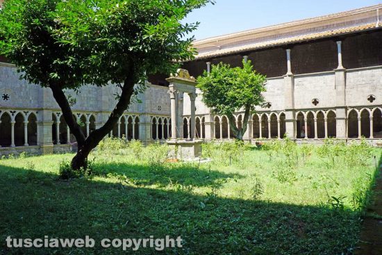 Viterbo - Il museo civico