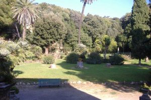 Parco di villa Bruschi Falgari