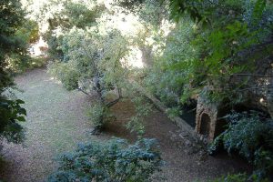 Particolare del parco di villa Bruschi Falgari