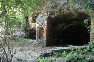 Particolare del parco di villa Bruschi Falgari