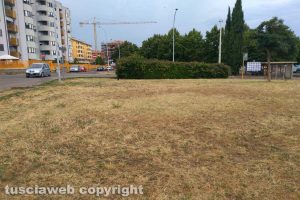 Viterbo - Il giardino in piazzale dei Buccheri