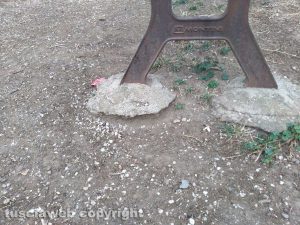 Viterbo - Santa Barbara - Giardino in piazzale dei Buccheri