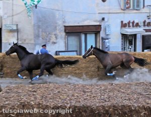 Ronciglione - Corse a vuoto, vince Fontana Grande con Ninfa da Clodia