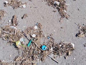 Montalto - Ancora dischetti di plastica sul litorale