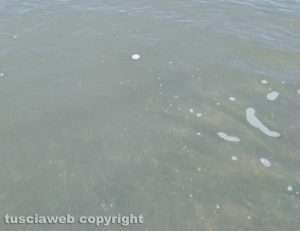 Montalto - Ancora dischetti di plastica sul litorale