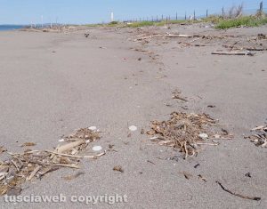 Montalto - Ancora dischetti di plastica sul litorale