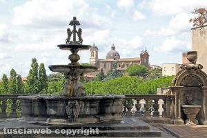 Viterbo - La fontana di palazzo dei Priori