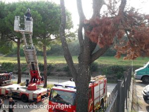 Montefiascone - L'intervento dei vigili del fuoco