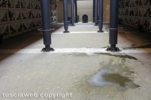 Viterbo - Incuria e sporcizia al cimitero