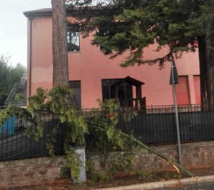 Rami spezzati alla scuola d'infanzia di Grotte Santo Stefano