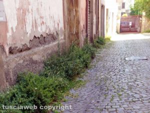Viterbo - Il degrado in via Cieca 