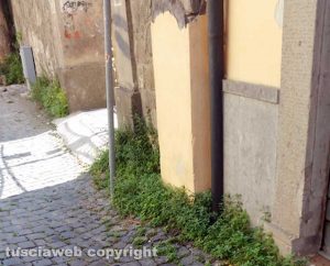 Viterbo - Il degrado in via Cieca 