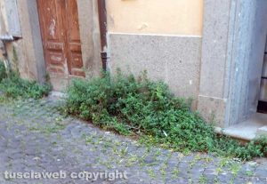 Viterbo - Il degrado in via Cieca 