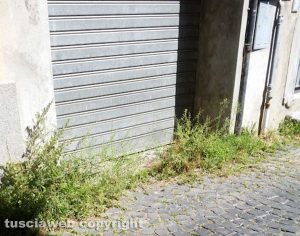 Viterbo - Il degrado in via Cieca 