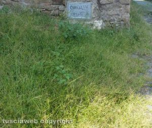 Viterbo - Pianoscarano - Erbacce in via delle Caprarecce