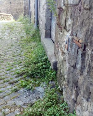 Viterbo - Pianoscarano - Erbacce in via delle Caprarecce