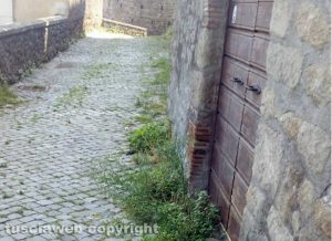 Viterbo - Pianoscarano - Erbacce in via delle Caprarecce