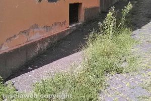 Viterbo - Incuria nel quartiere Trinità