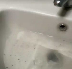 Caserta - Larve nel lavandino del pronto soccorso