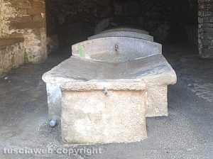 La pulizia del lavatoio a Bagnaia