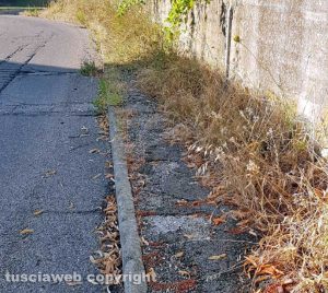 - Via Cardinal Ridolfi piena di buche ed erbacce