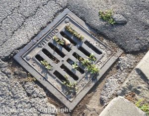 Viterbo - Santa Barbara - Le caditoie piene di terra ed erbacce 
